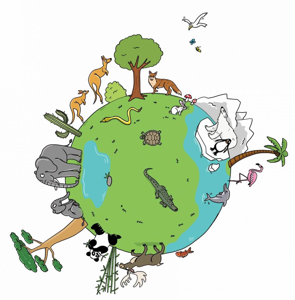 Biodiversite_Bordas_6_7 copie
