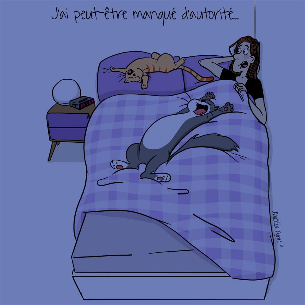 femme dans son li avec ces chats  Laetitia aynié illustrations