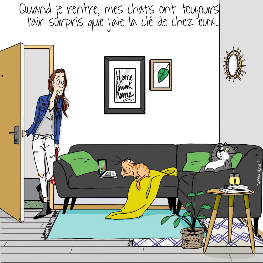 femme salon chats Laetitia aynié illustrations