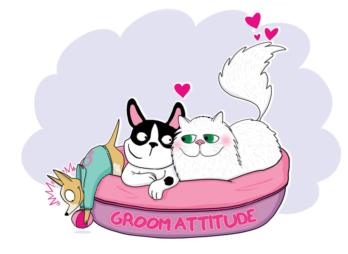 chiens et chat groom attitude Laetitia aynié illustrations