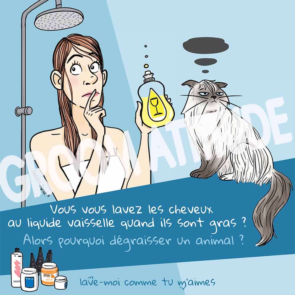 groom attitude animaux