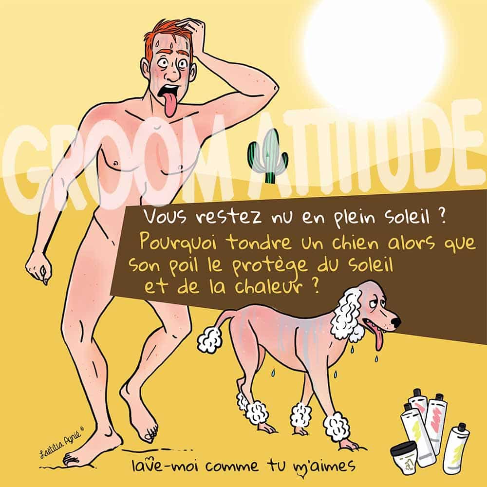 groom attitude animaux