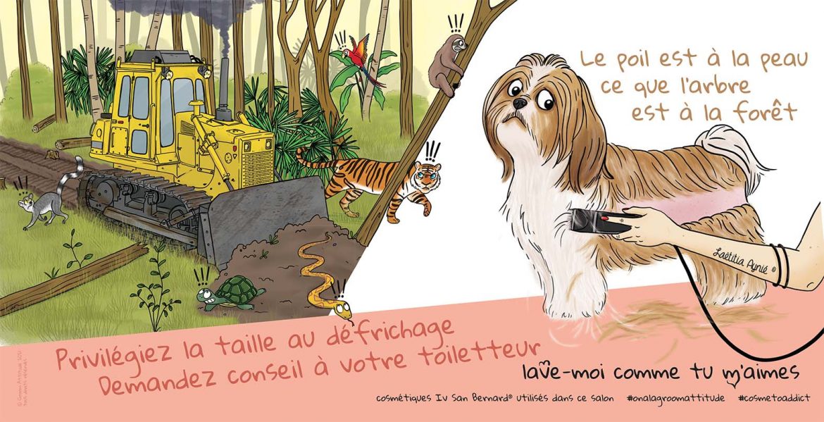 groom attitude_Laetitia aynié illustrations