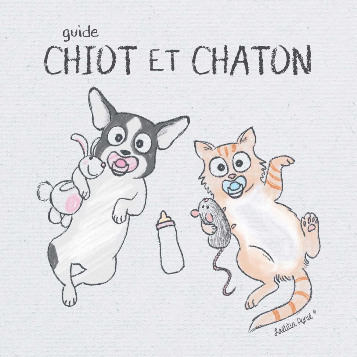 INSTA guide chiot et chaton-3 vecto-1 couverture guide chiot et chaton , illustrations laetitia aynié ,société groom attitude
