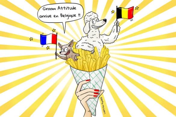 Groom attitude ,illustration Laetitia Aynié , chiens dans un cornet de frites, France Belgique