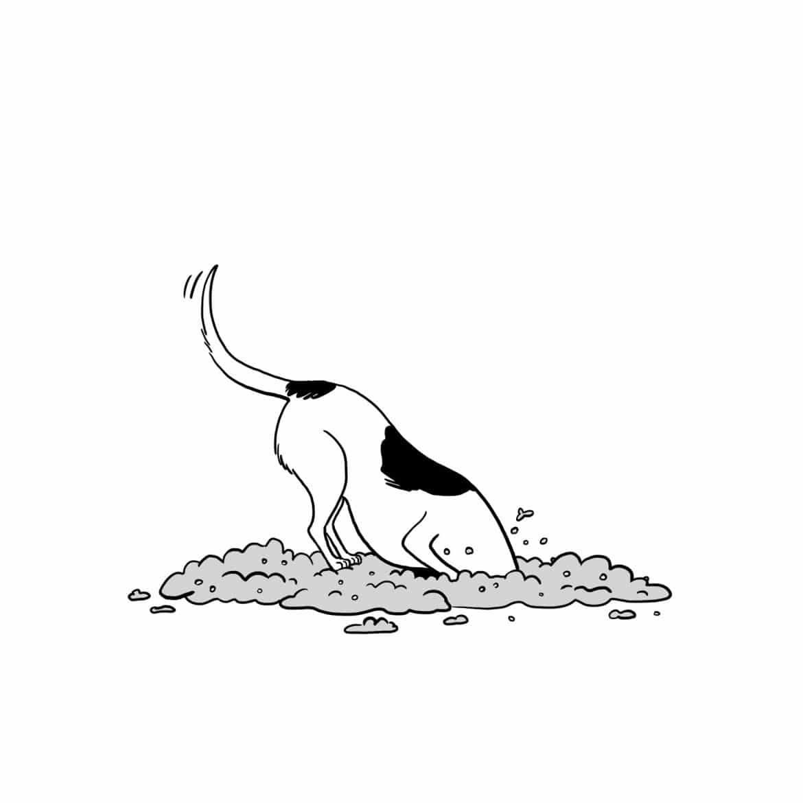 OK_chien_gratte copie 3
