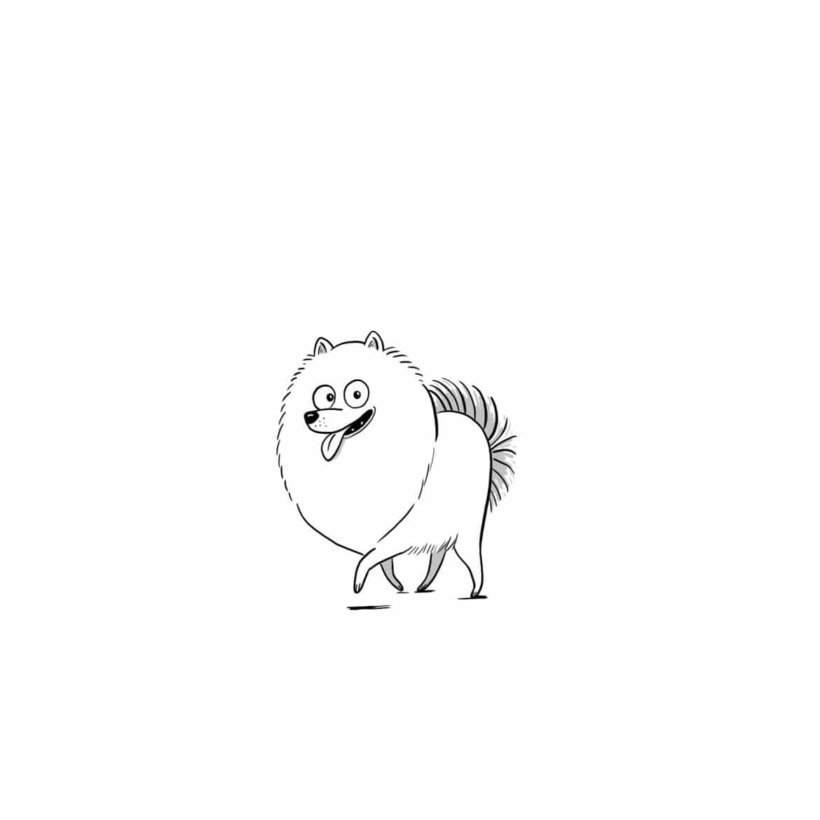 OK_spitz copie 2