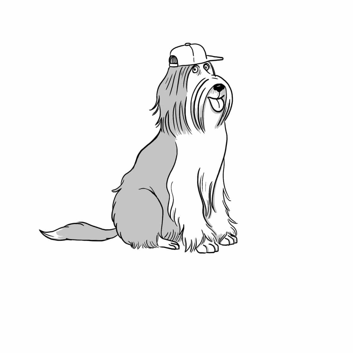 bearded_collie copie