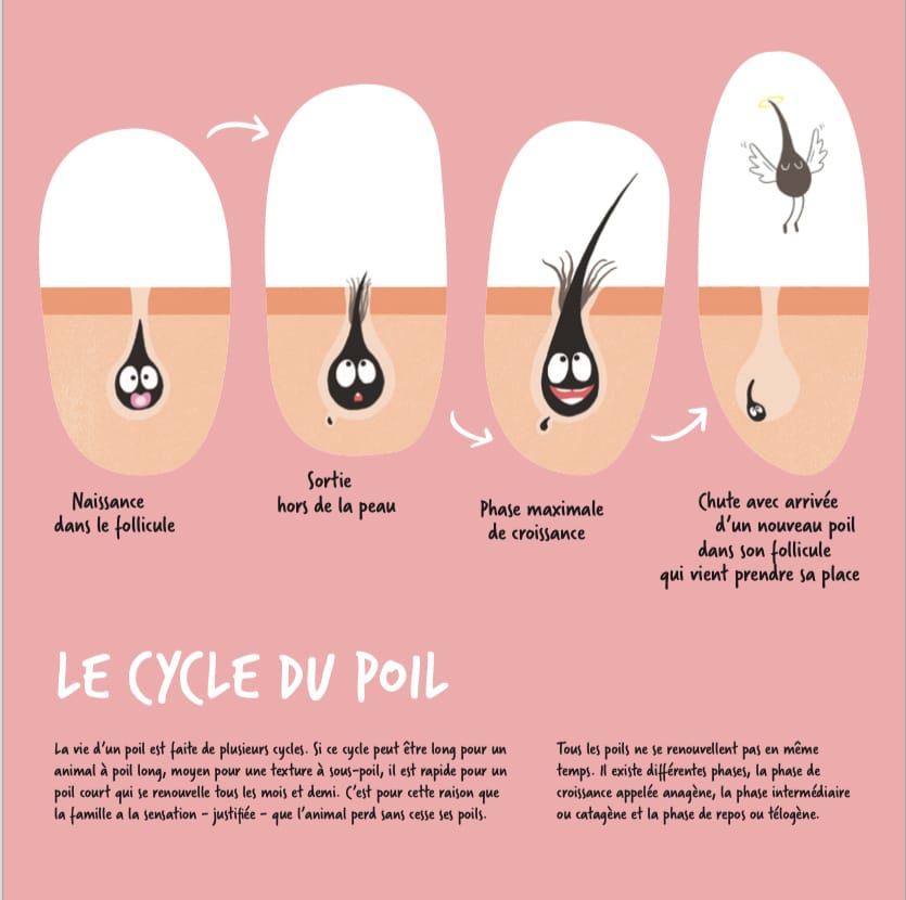 cycle