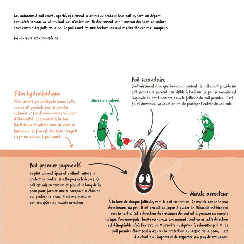 schema