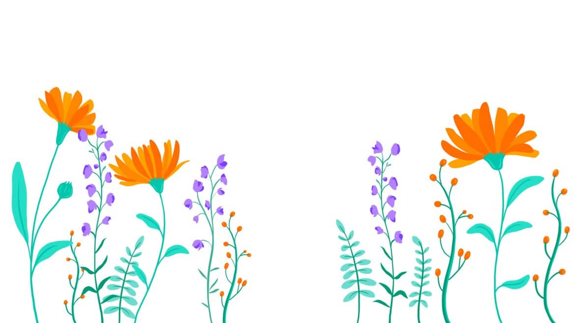 fleursV2 copie