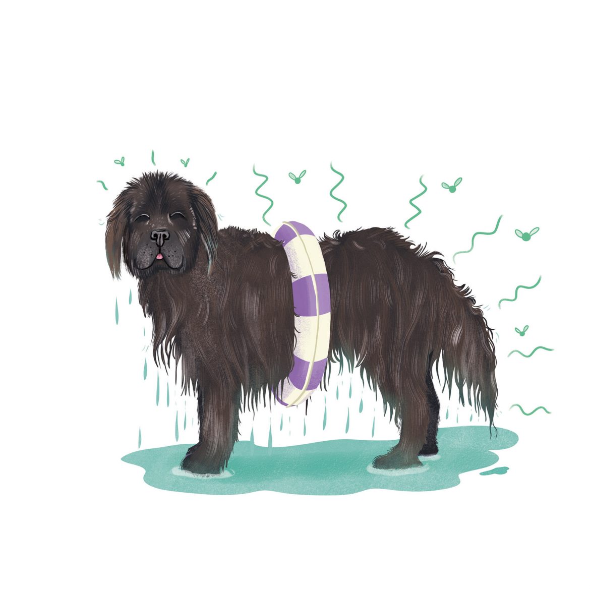 chien_mouille copie