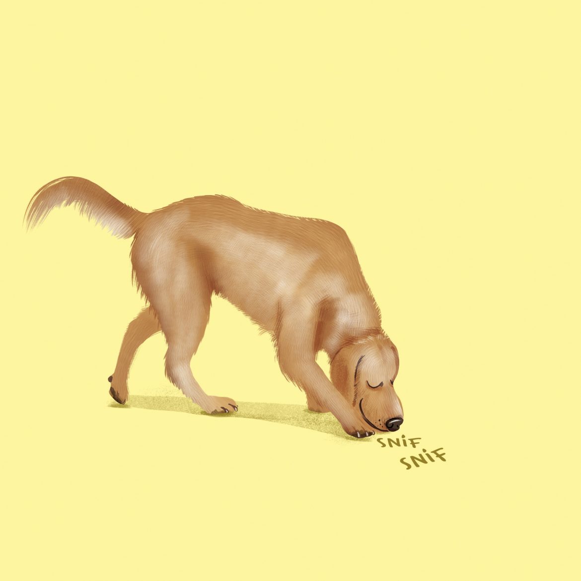 chien_renifle copie